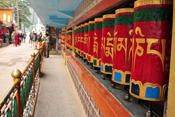 Amritsar Dalhousie Dharamshala Manali Shimla Tour